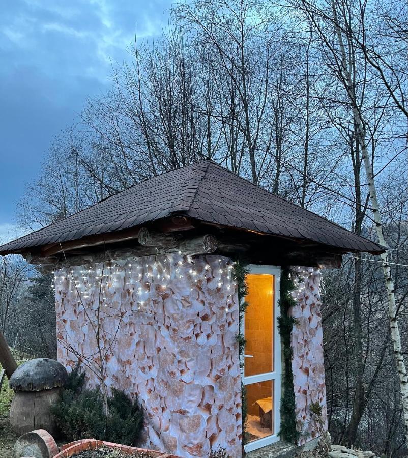 Guesthouse Karpaty ヤシニャ エクステリア 写真